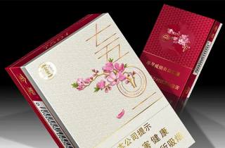 正品七匹狼黑色盒子的烟多钱一包2025总结，带您展示七匹狼黑盒价格参考